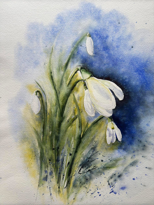 Snowdrops.1