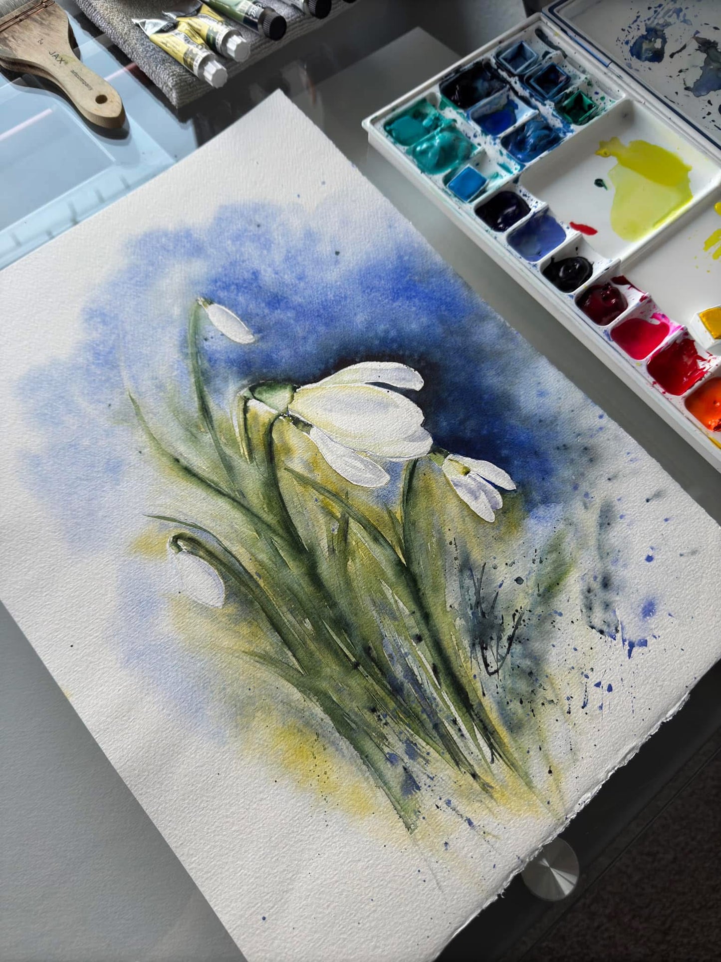 Snowdrops.1