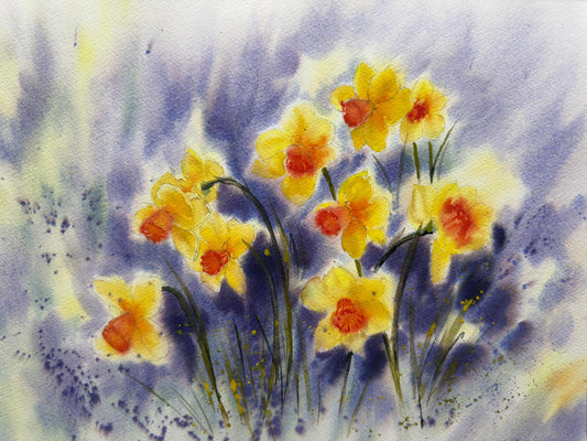 Daffodils. 2