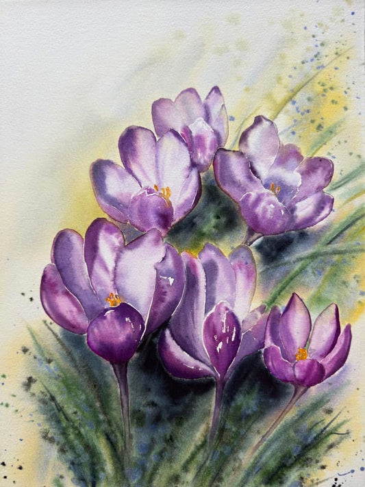 Crocuses. 1