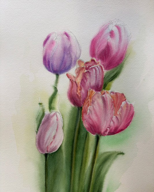 Tulips. 1