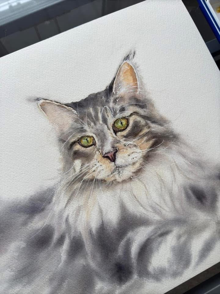 The Persian Cat