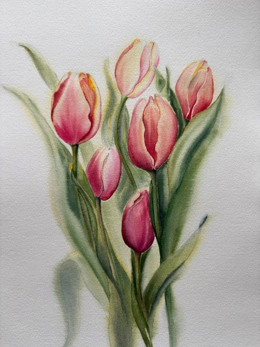 Tulips. 2