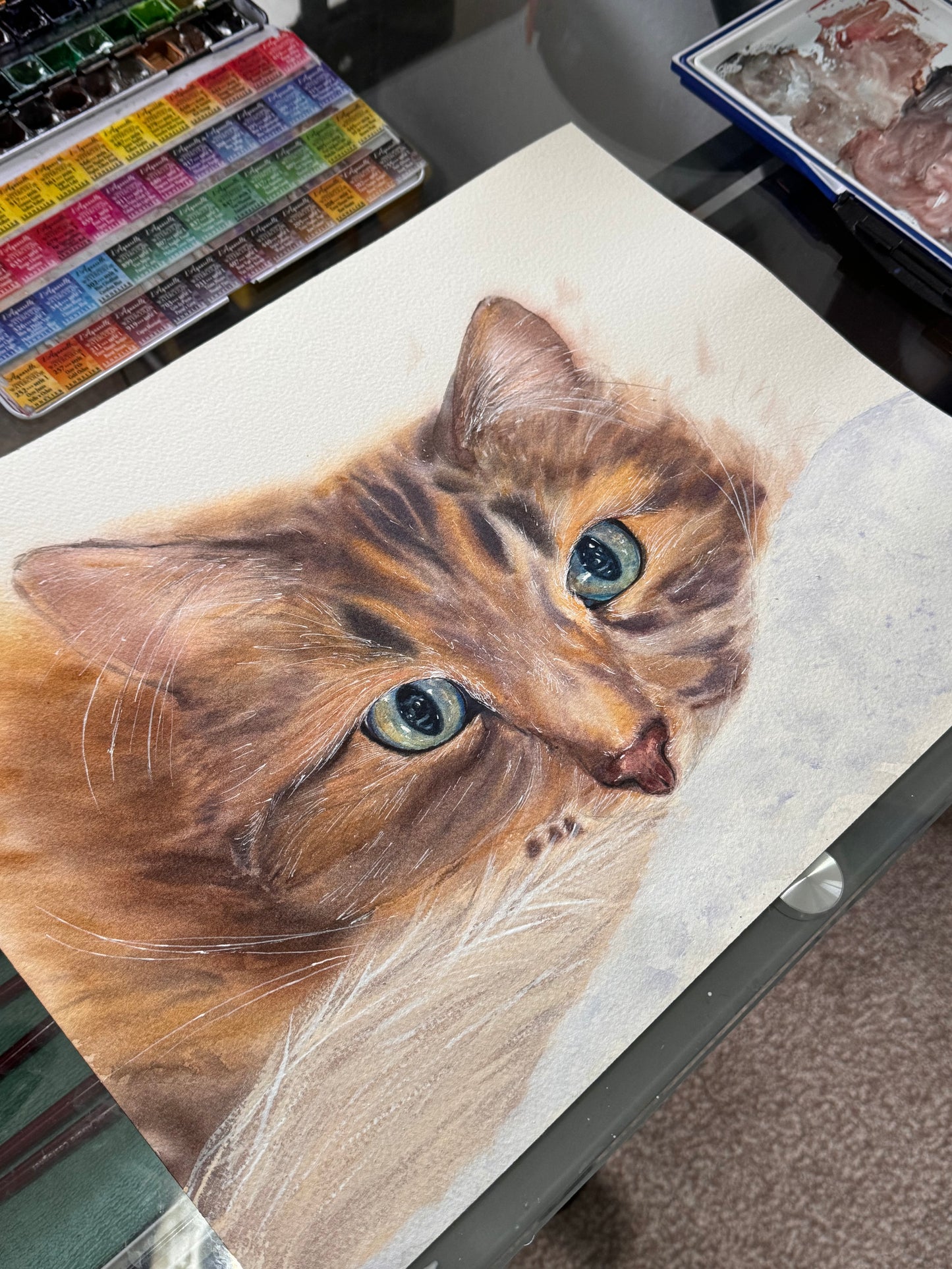 Siberian Cat - Lola