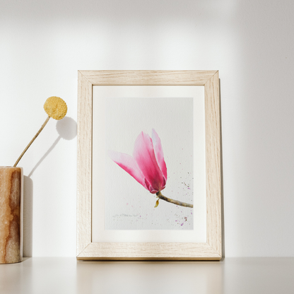 Magnolia - Original