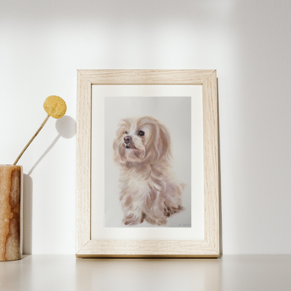 Maltese Dog - Original