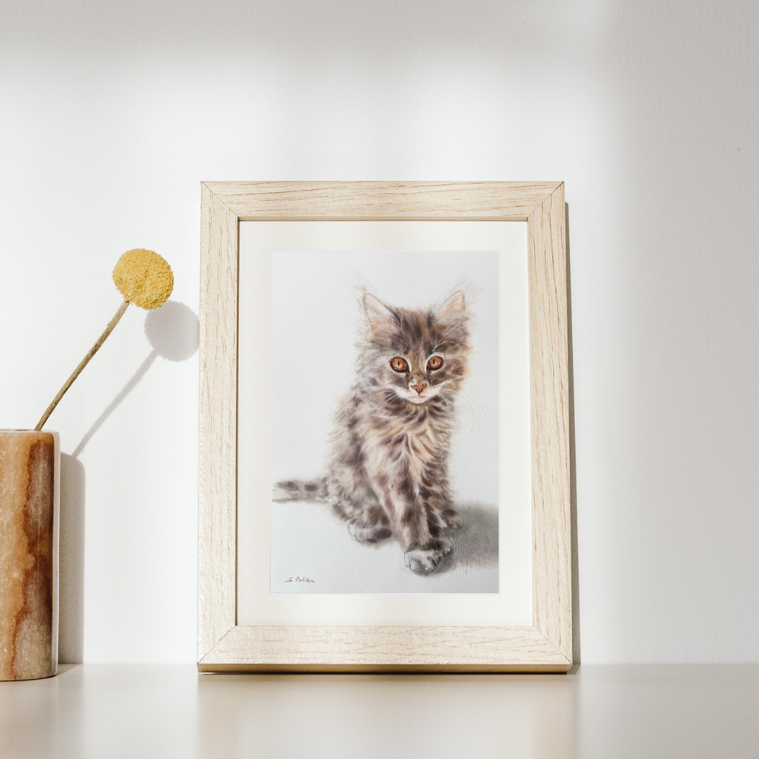 Cute kitten - Original