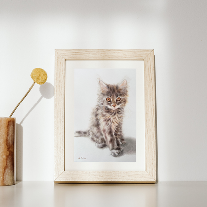 Cute kitten - Original
