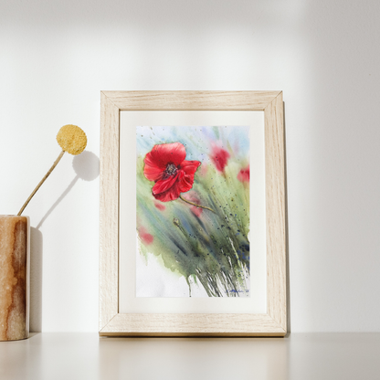 Poppies - Original