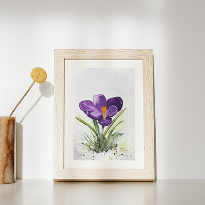 Crocus - Original