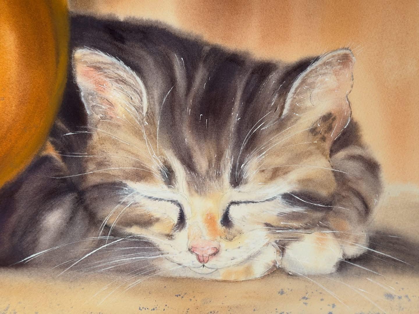 Sleeping Cat