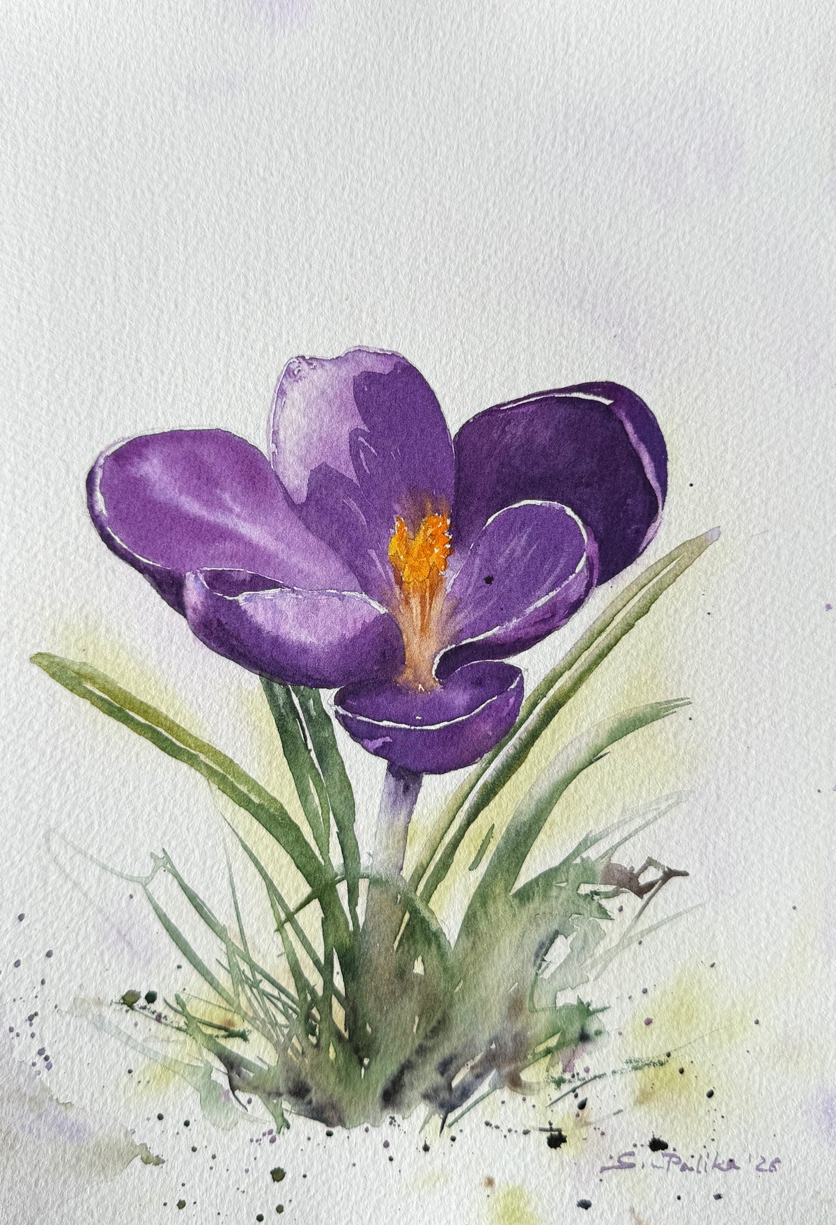 <strong>Why Join the Watercolour Clubhouse?</strong>