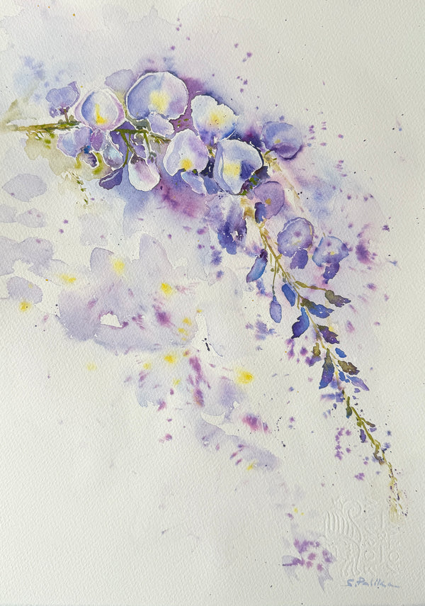 Wisteria - Original