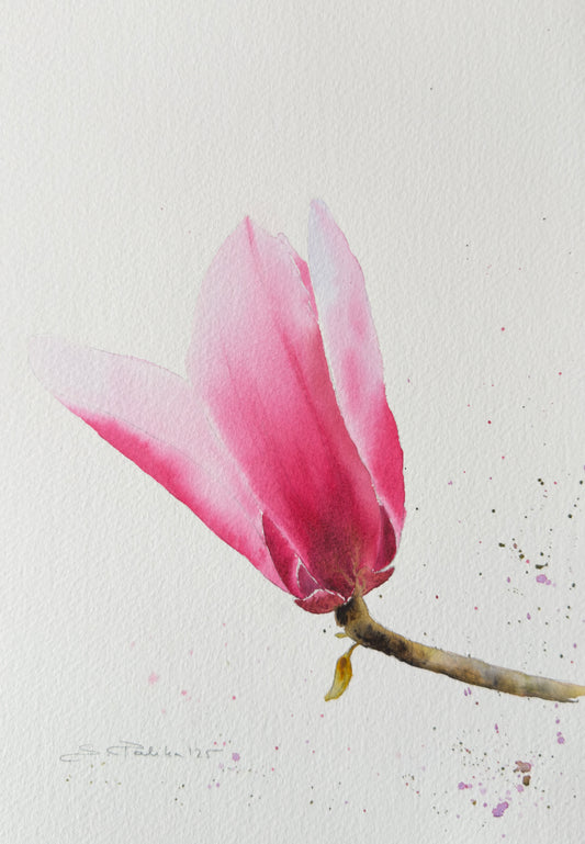 Magnolia - Original