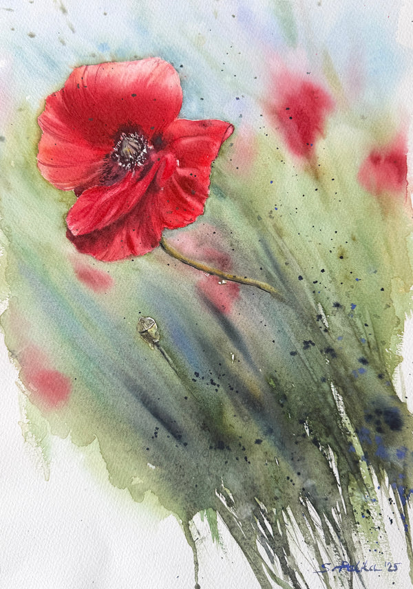 Poppies - Original
