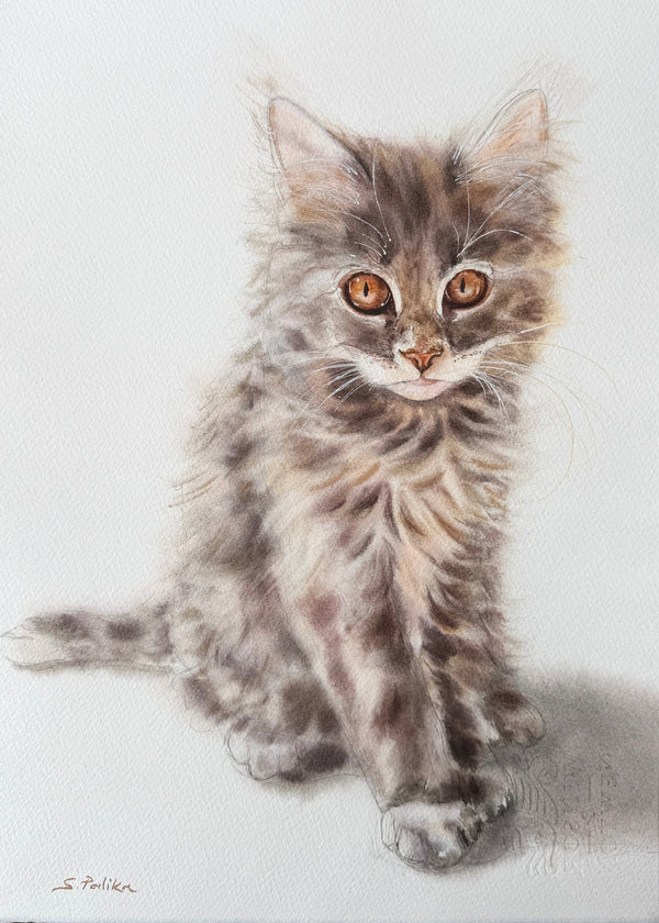 Cute kitten - Original