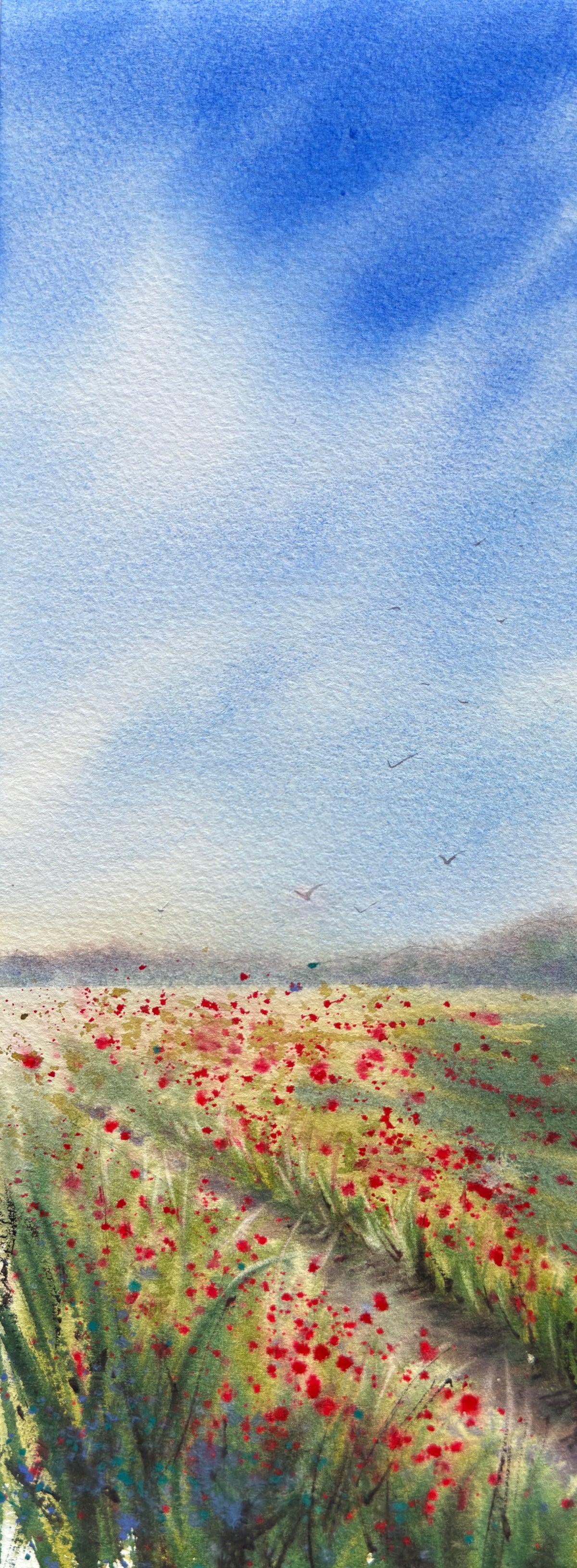 <strong>Why Join the Watercolour Clubhouse?</strong>
